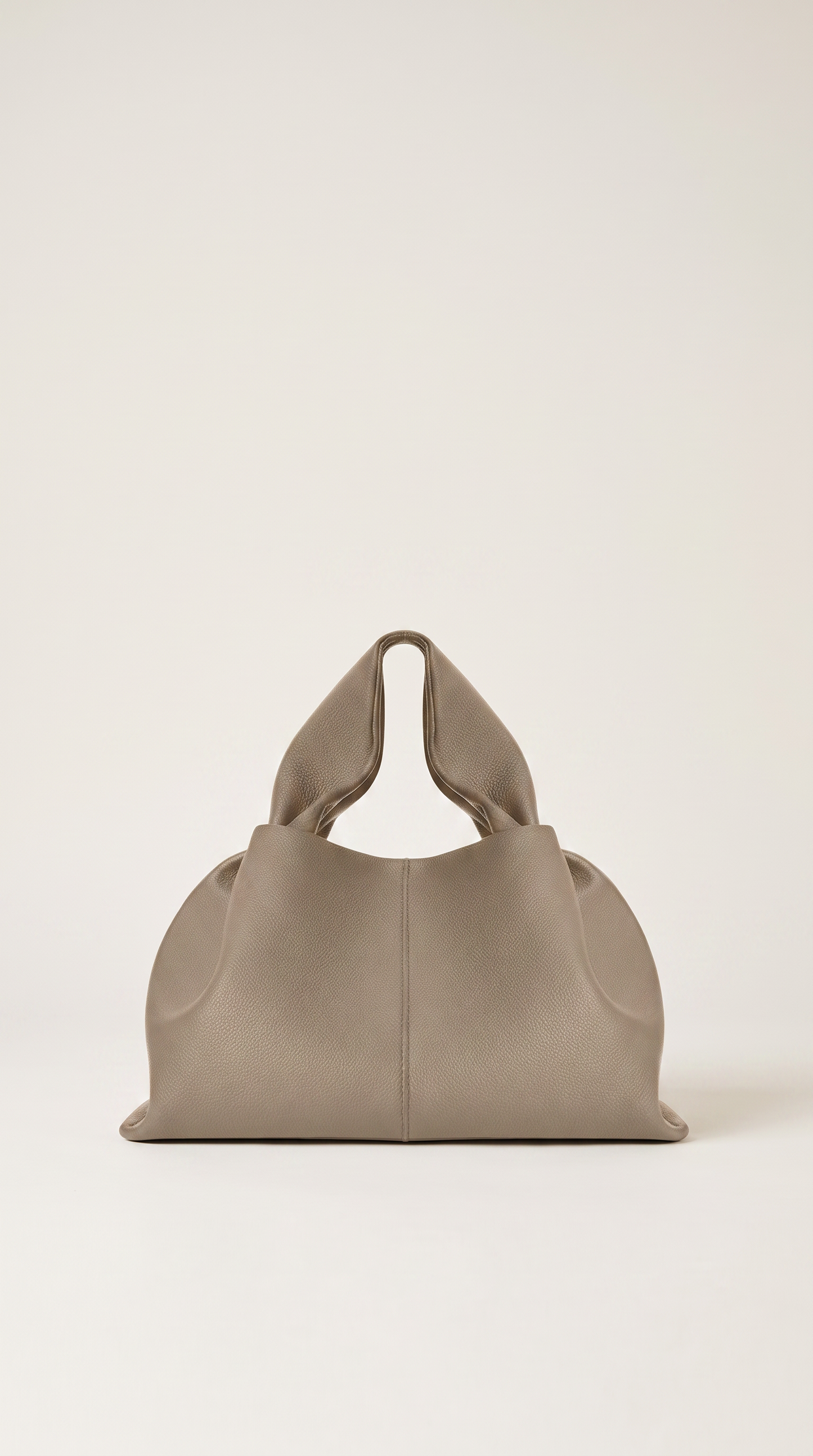 Bolso Larsa
